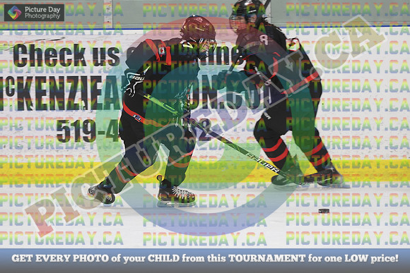 20250201-17049