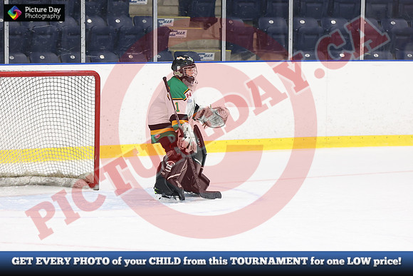20241108-4954