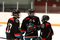 pm 01.00 TWIN2 [C] Chilliwack Bantam C5 vs Kelowna