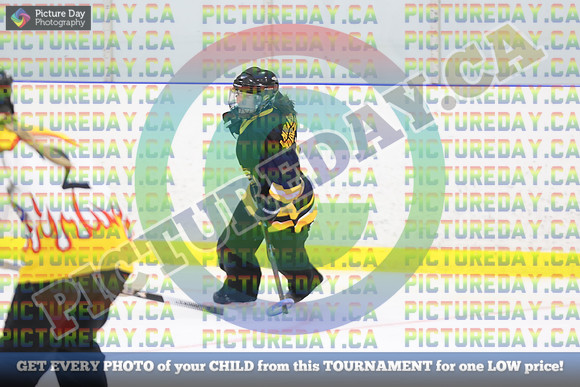 20250301-11429