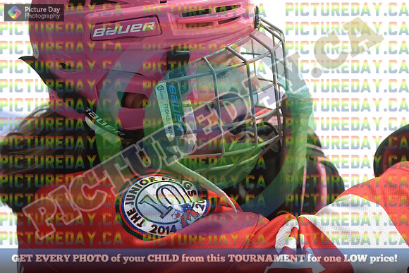20250222-8732