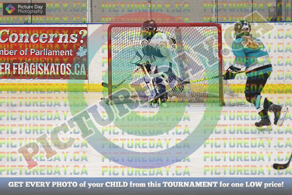 20250131-4602