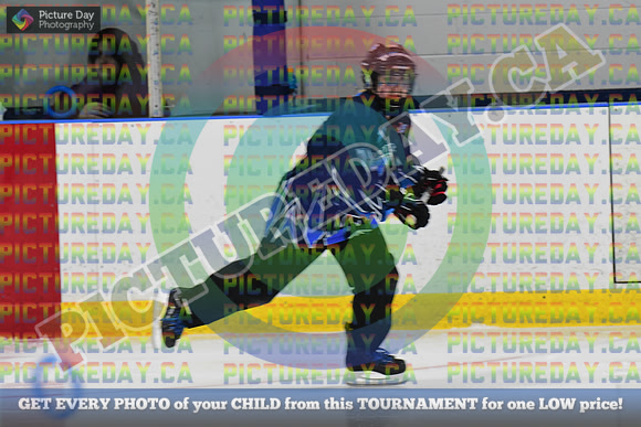 20250404-3666
