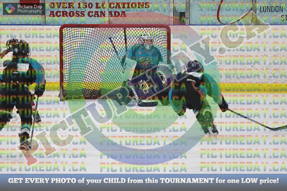 20250131-1557