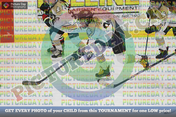 20250202-22485