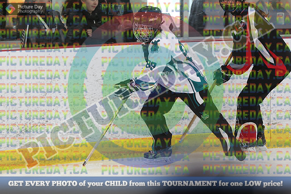 20250208-7449