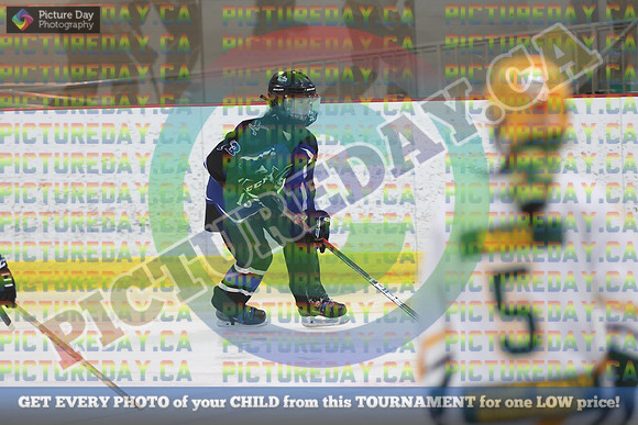 20250208-8656