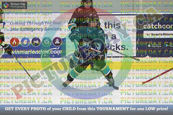 20250131-9172