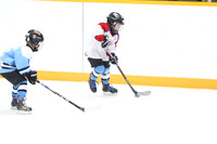 20241108-039082024 Belmont Rangers U7 Rumble