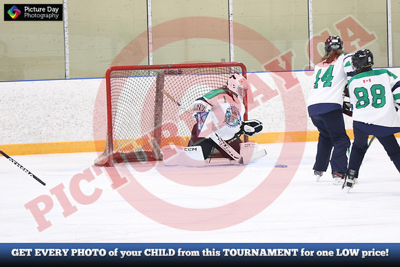 20241215-4046152024 St Marys Sinpers Ringette Tournament