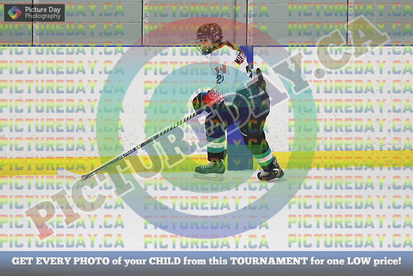 20250131-2901