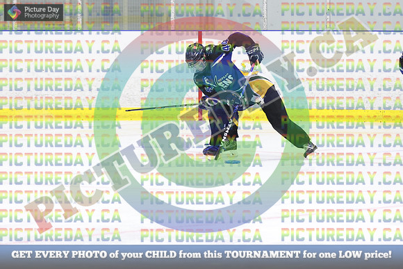 20250227-3319