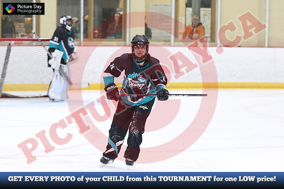 20241214-0440142024 St Marys Sinpers Ringette Tournament