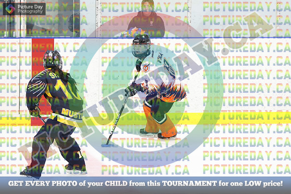 20250301-12341