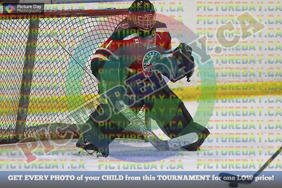 20250131-8908