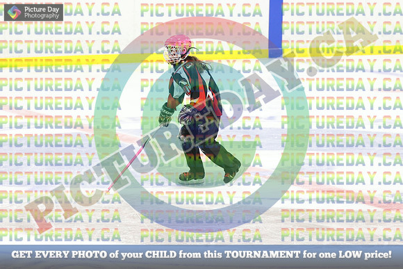 20250208-55338