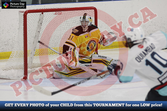 20241012-5016