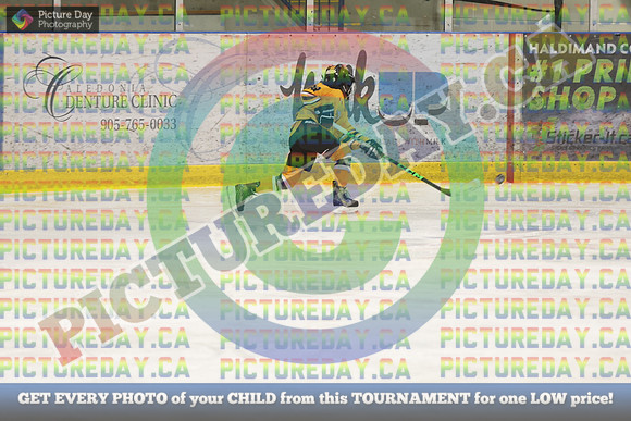 20250308-4661