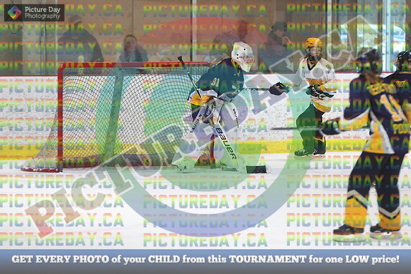 20250207-3741