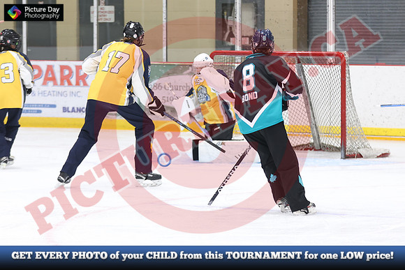 20241214-0375142024 St Marys Sinpers Ringette Tournament