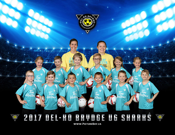 U6-Sharks