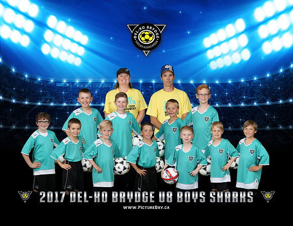 U8Boys-Sharks