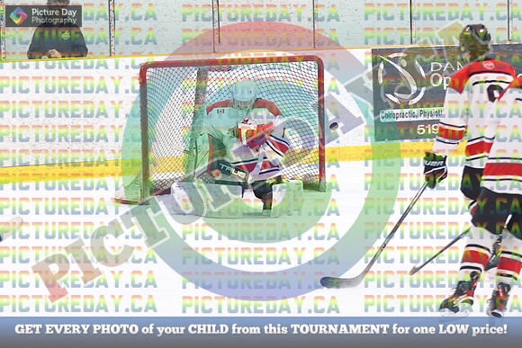 20250131-384631
