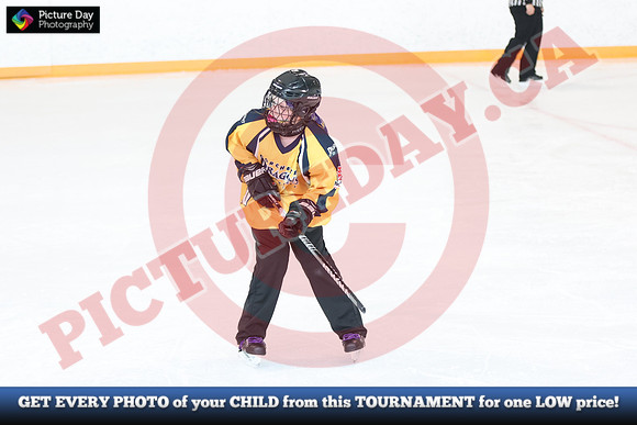 20241214-1865142024 St Marys Sinpers Ringette Tournament