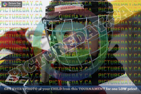 20250131-008431