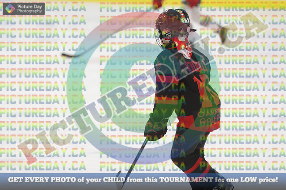 20250131-4178