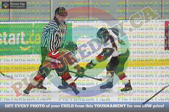 20250131-6613