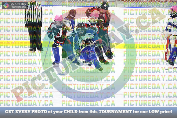 20250208-55638