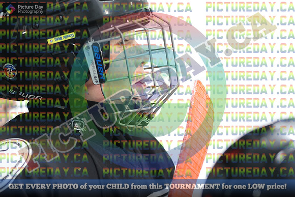 20250131-117731