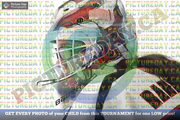 20250131-9188