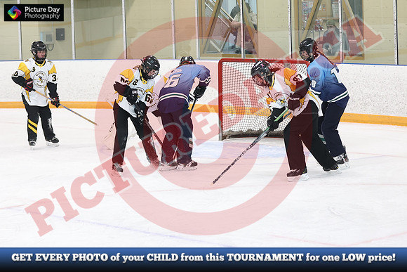 20241214-0266142024 St Marys Sinpers Ringette Tournament