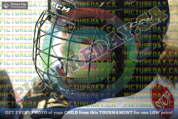 20250131-4617
