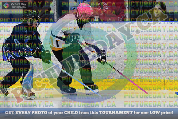 20250404-3681