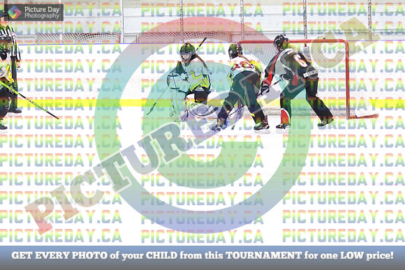 20250208-60638