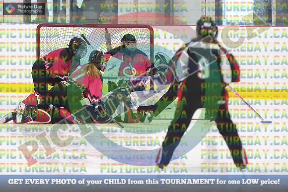 20250321-3316