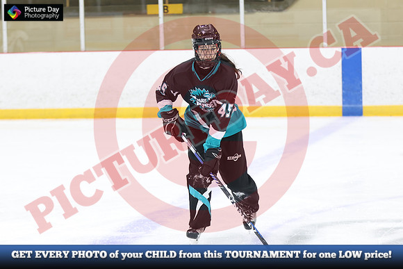20241214-2517142024 St Marys Sinpers Ringette Tournament