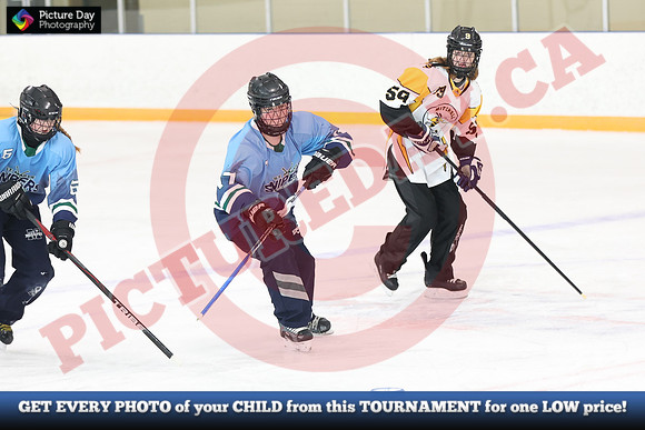 20241214-0260142024 St Marys Sinpers Ringette Tournament