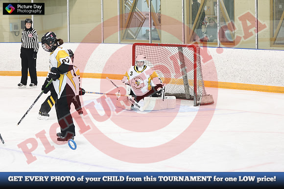 20241214-0244142024 St Marys Sinpers Ringette Tournament