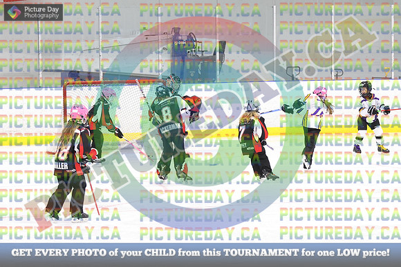 20250208-53128