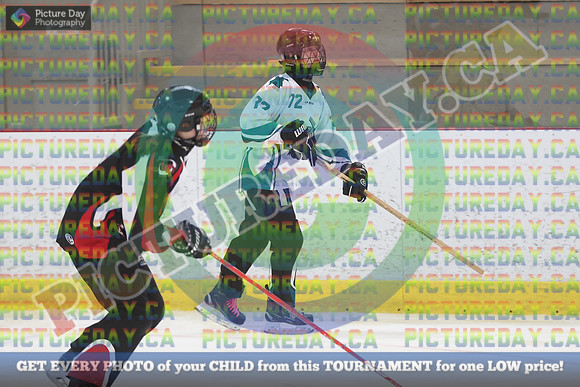20250208-7424