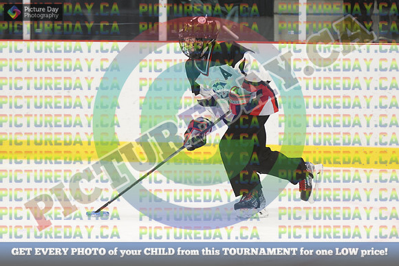 20250313-2800