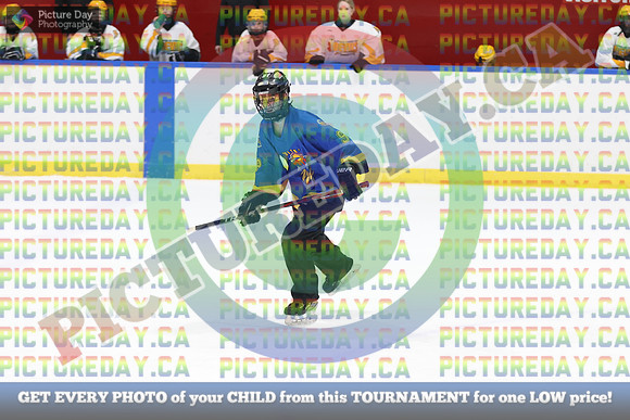 20250103-263632025 Whitby Ringette Tournament
