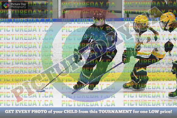 20250103-139032025 Whitby Ringette Tournament