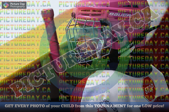 20250131-008131