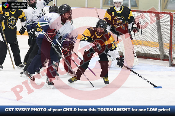 20241215-5608152024 St Marys Sinpers Ringette Tournament