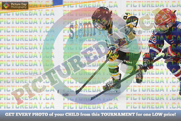 20250124-529024